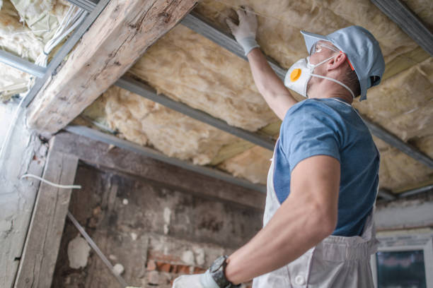 Best Professional Insulation Contractor  in South Uniontown, PA
