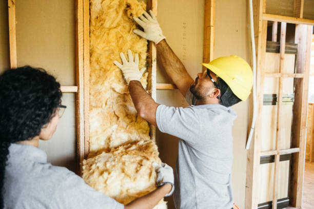 Best Residential Insulation Services  in South Uniontown, PA