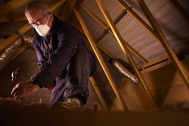 Best Insulation Contractor Near Me  in South Uniontown, PA